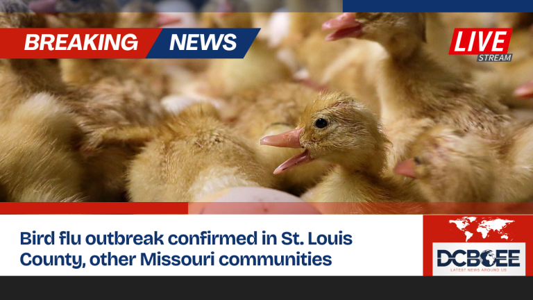 Bird flu outbreak confirmed in St. Louis County, other Missouri communities